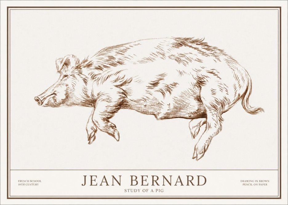 Jean Bernard Study of a Pig II No1 - Poster