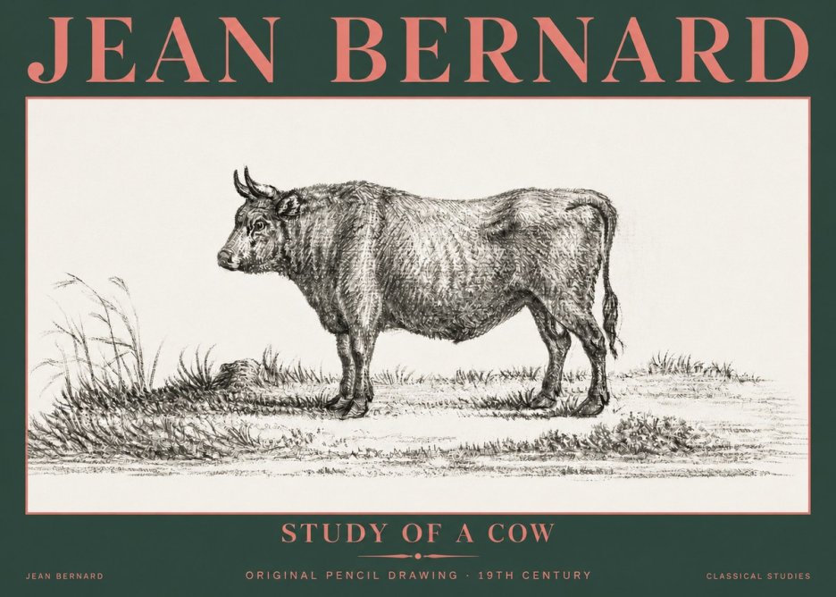 Jean Bernard Study of a Cow XIII No5 - Poster