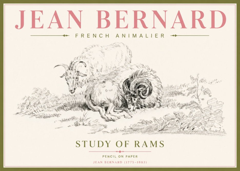Jean Bernard Study of Sheep No5 - Poster
