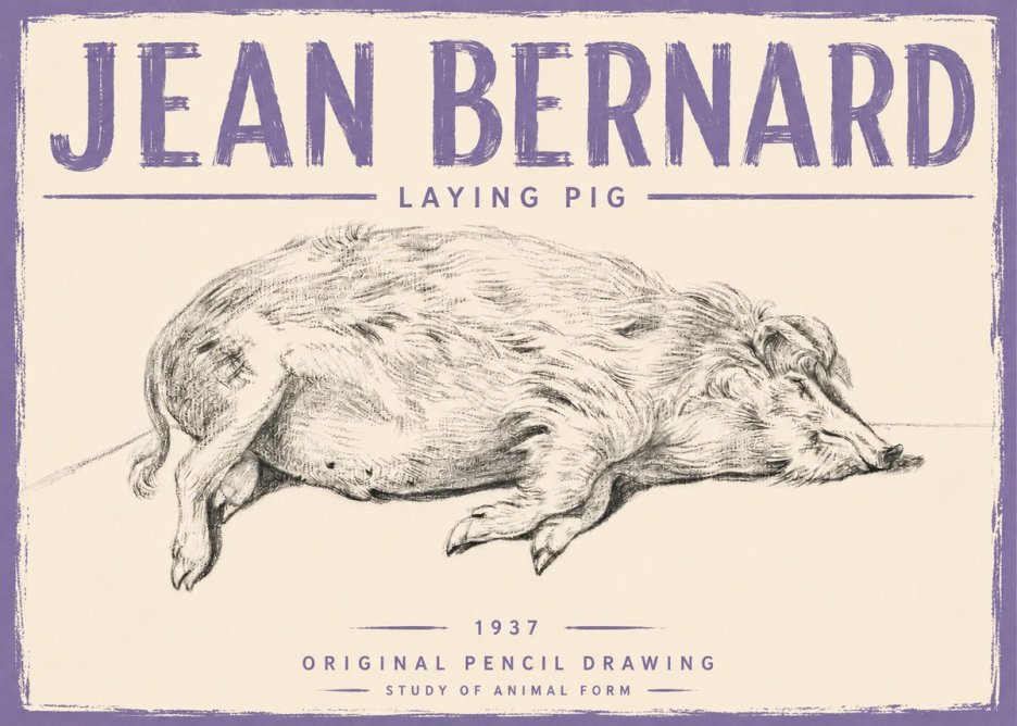Jean Bernard Laying Pig No5 - Poster
