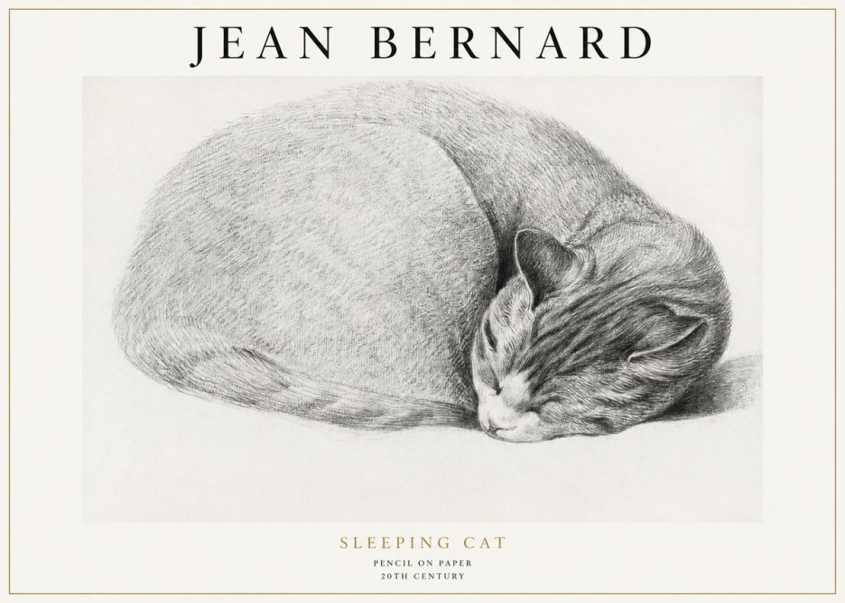 Jean Bernard Sleeping Cat IX No1 - Poster