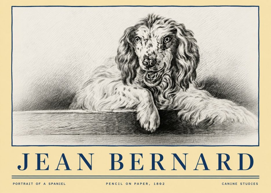 Jean Bernard Portrait of a Spaniel No4 - Poster