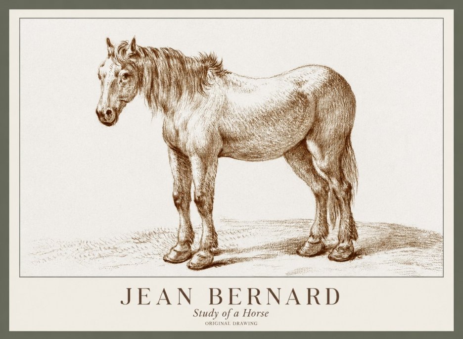 Jean Bernard Study of a Horse XIV No1 - Poster