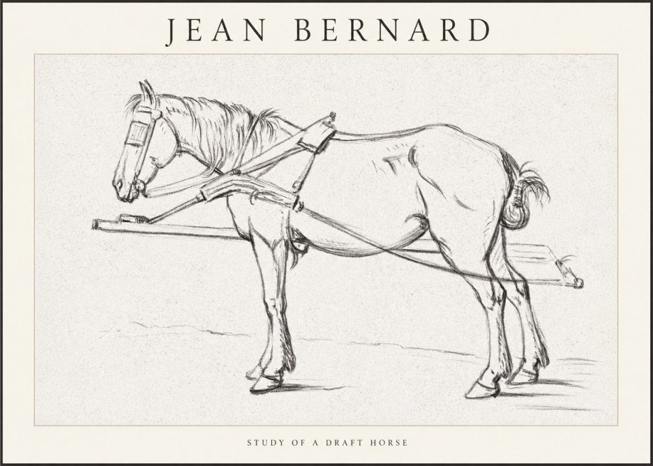 Jean Bernard Study of a Draft Horse II No1 - Poster