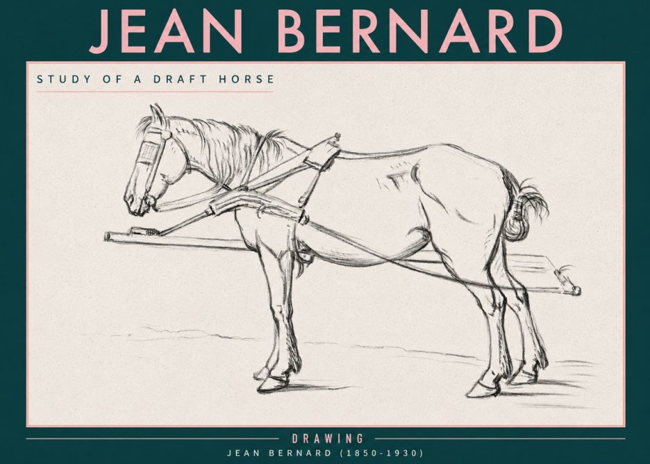 Jean Bernard Study of a Draft Horse II No3 - Poster