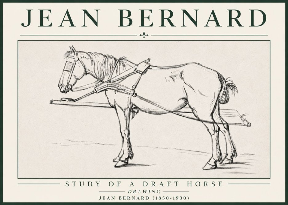 Jean Bernard Study of a Draft Horse II No4 - Poster