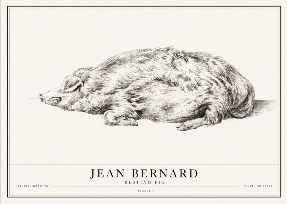 Jean Bernard Resting Pig II No1 - Poster