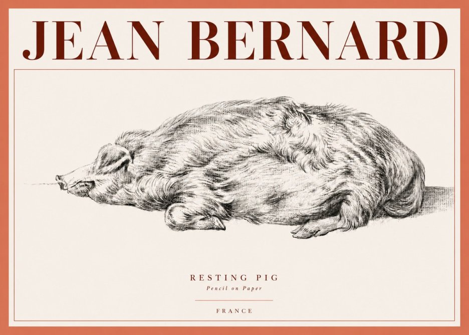Jean Bernard Resting Pig II No4 - Poster