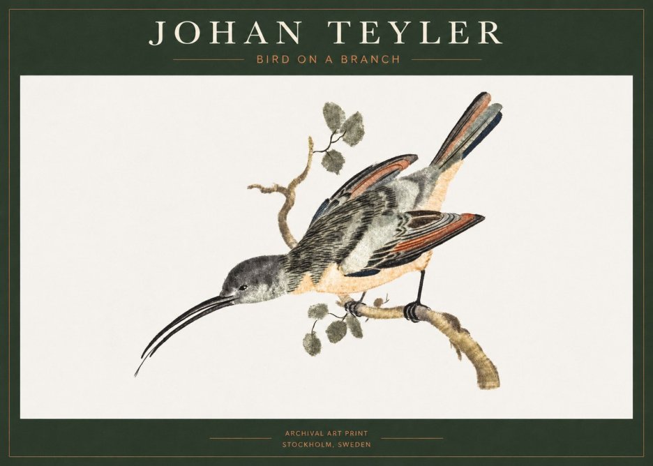 Johan Teyler Bird on a Branch No1 - Poster