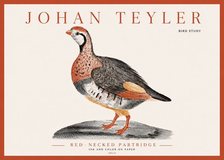 Johan Teyler Red-necked Partridge No3 - Poster