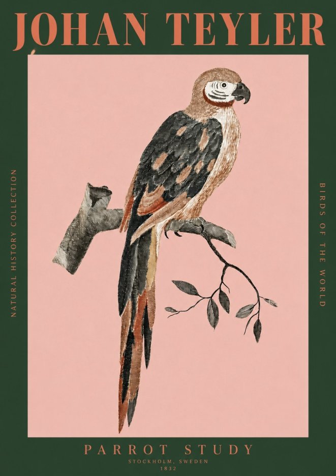 Johan Teyler Parrot Study I No2 - Poster