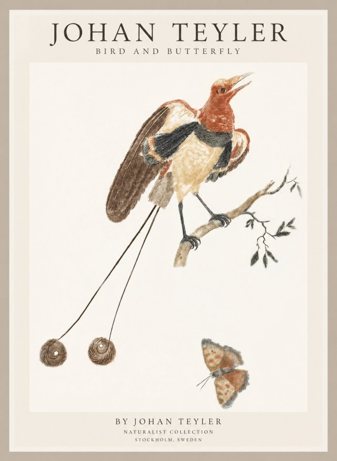 Johan Teyler Bird and Butterfly No1 - Poster