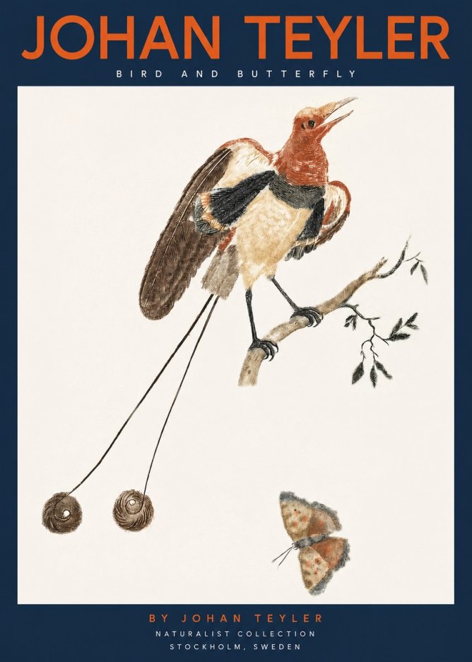 Johan Teyler Bird and Butterfly No2 - Poster