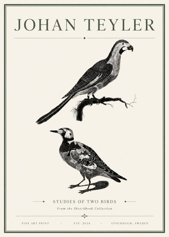 Johan Teyler Birds - Study of Two Species No6 - Poster