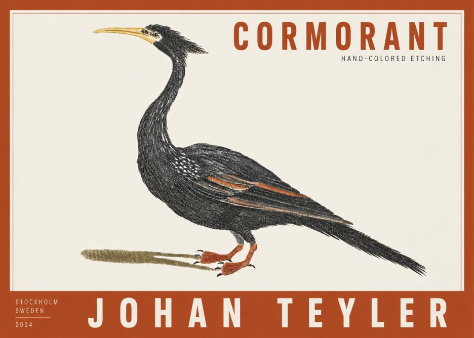 Johan Teyler Cormorant No2 - Poster