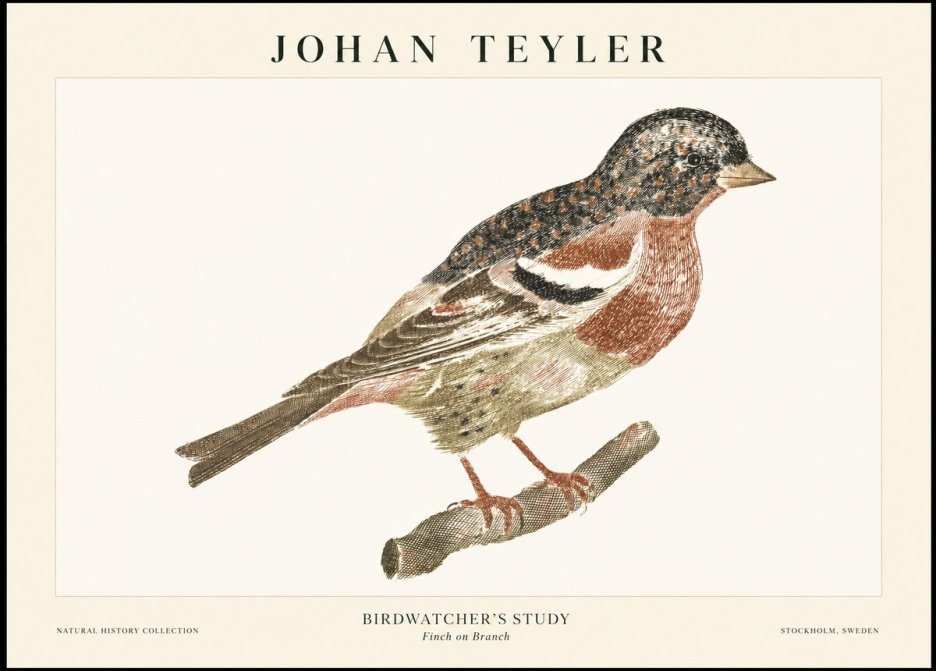 Johan Teyler Finch on Branch No1 - Poster