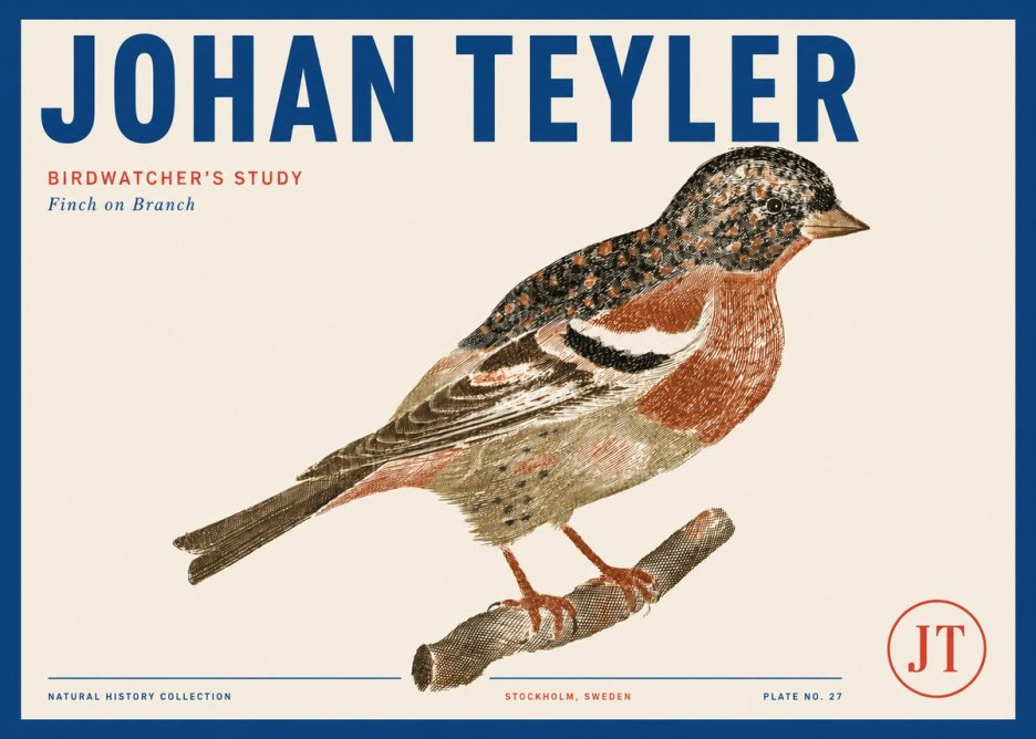 Johan Teyler Finch on Branch No3 - Poster
