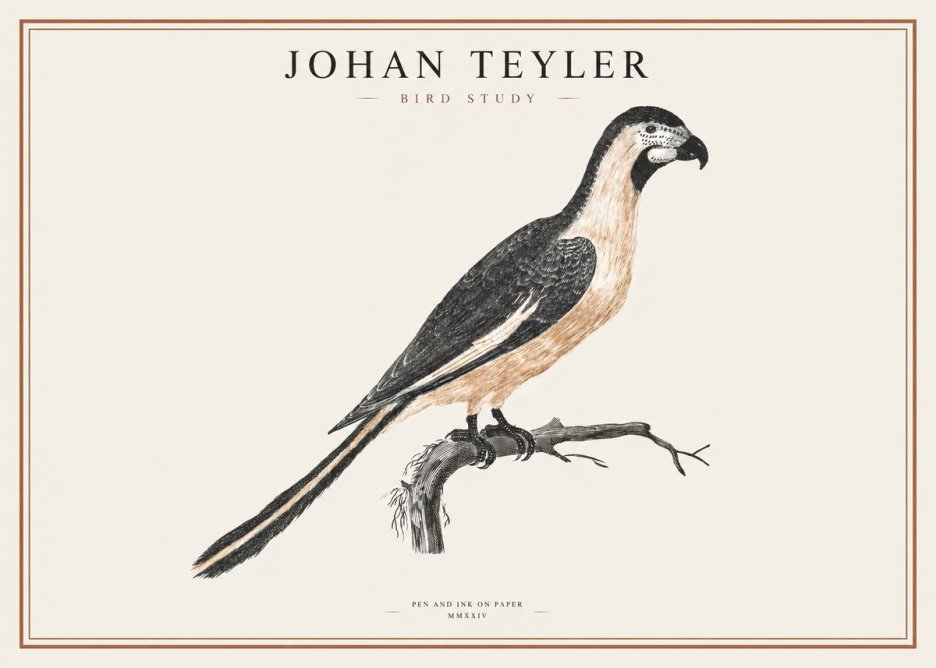 Johan Teyler Bird Study I No1 - Poster