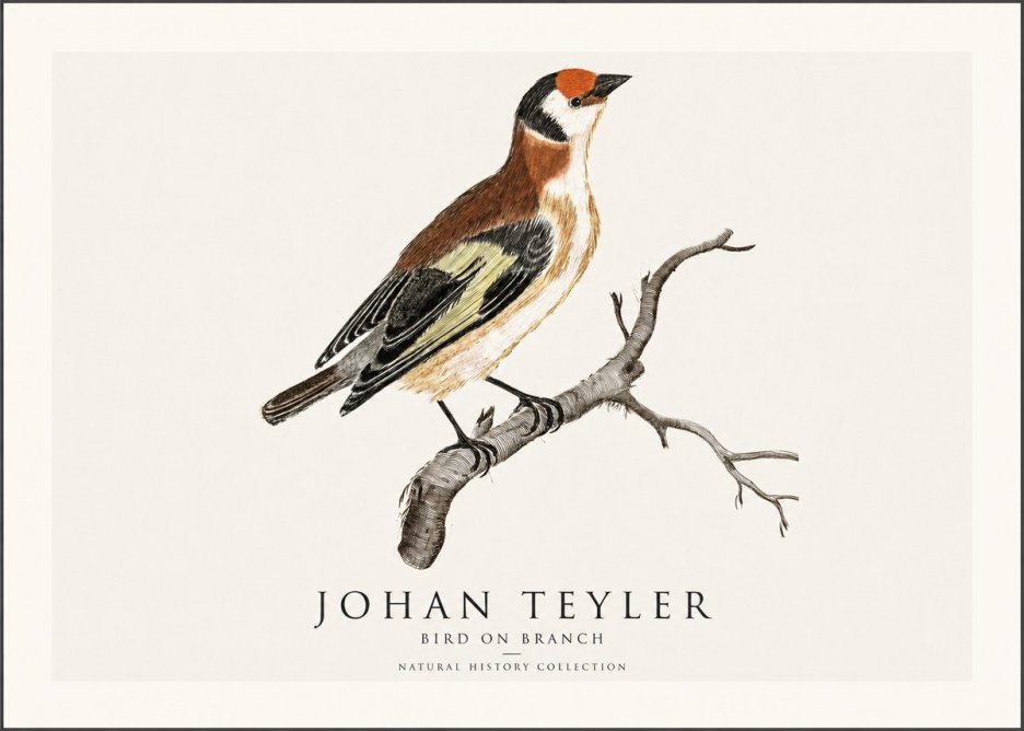 Johan Teyler Song of the Finch No2 - Poster