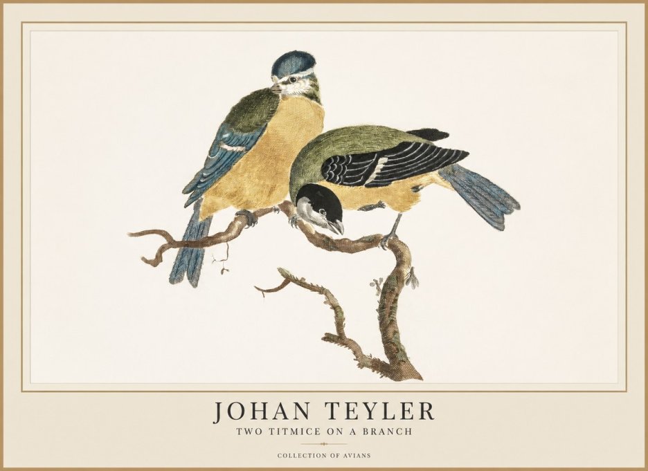 Johan Teyler Two Titmice on a Branch No1 - Poster