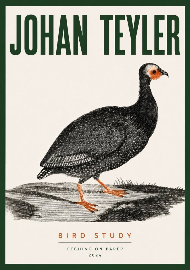 Johan Teyler Bird Study III No3 - Poster