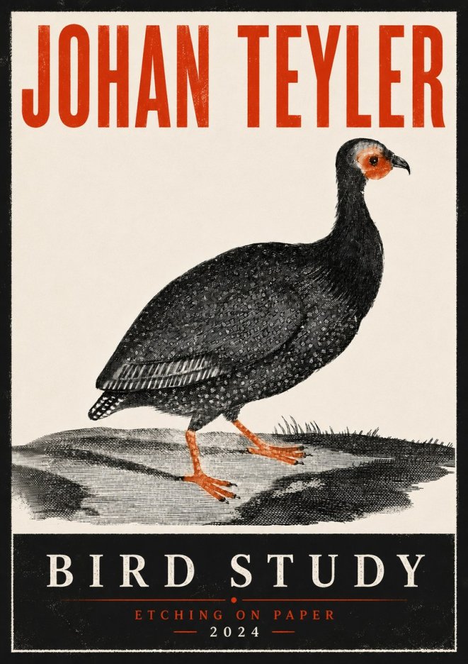 Johan Teyler Bird Study III No6 - Poster