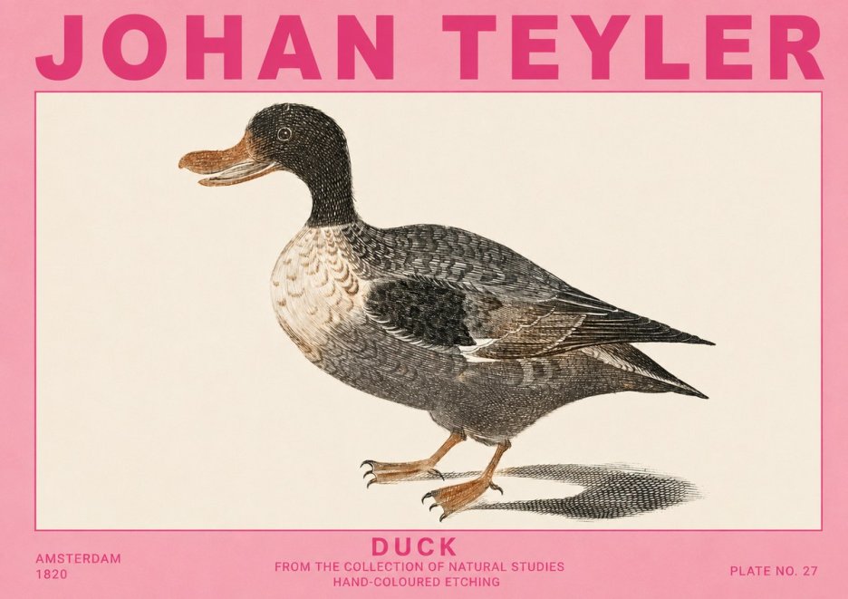 Johan Teyler Duck I No5 - Poster