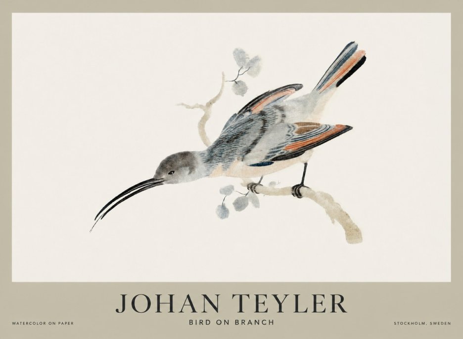 Johan Teyler Bird on Branch I No1 - Poster