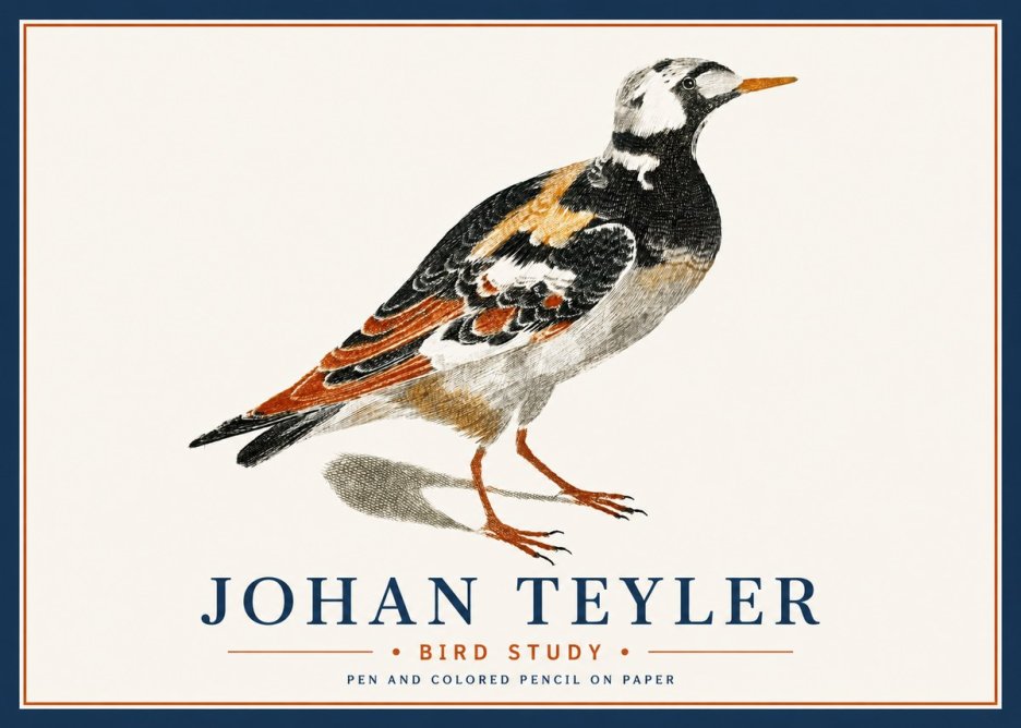 Johan Teyler Bird Study IV No6 - Poster