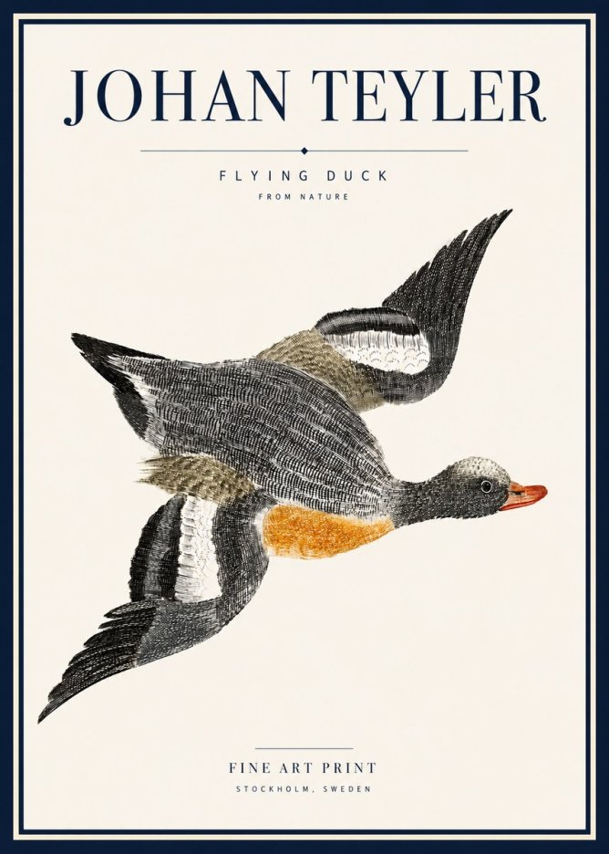 Johan Teyler Flying Duck No5 - Poster