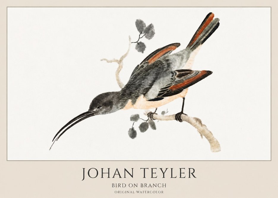 Johan Teyler Bird on Branch II No1 - Poster