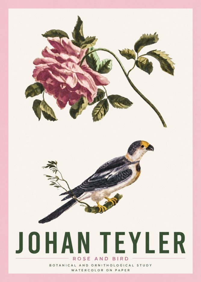Johan Teyler Rose and Bird I No4 - Poster