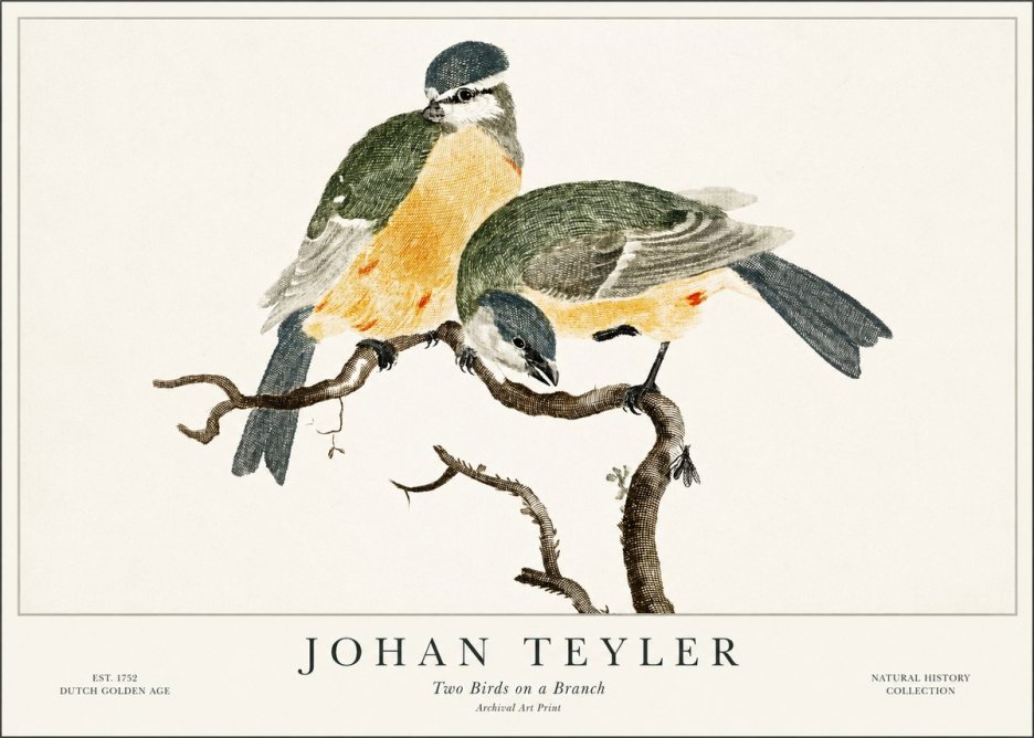 Johan Teyler Two Birds on a Branch No1 - Poster