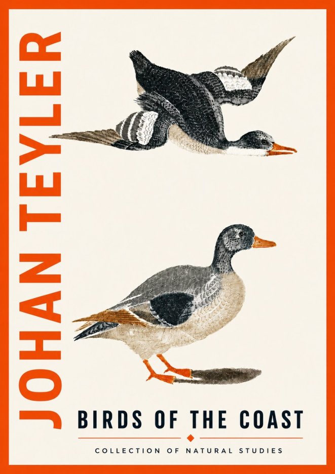 Johan Teyler Birds of the Coast No5 - Poster