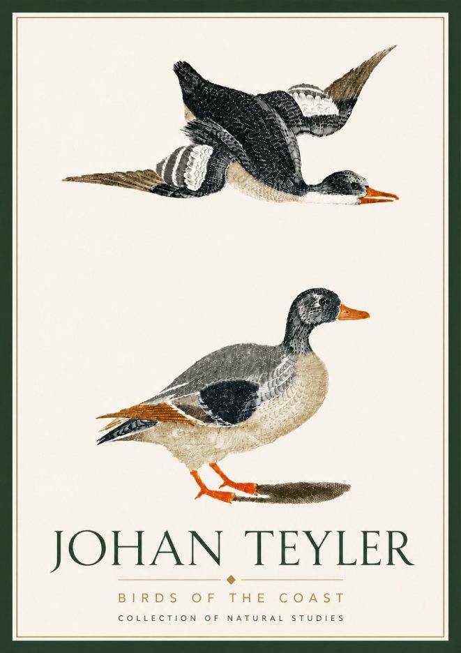 Johan Teyler Birds of the Coast No6 - Poster