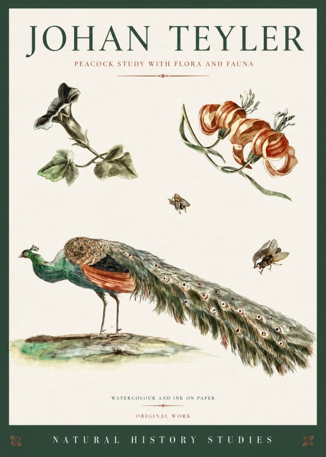Johan Teyler Peacock Study with Flora and Fauna No3 - Poster