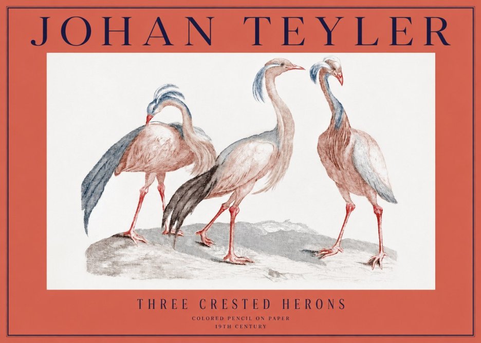 Johan Teyler Three Crested Herons No2 - Poster