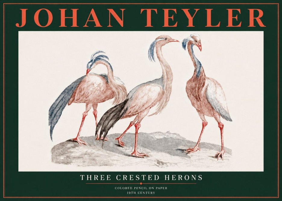 Johan Teyler Three Crested Herons No5 - Poster