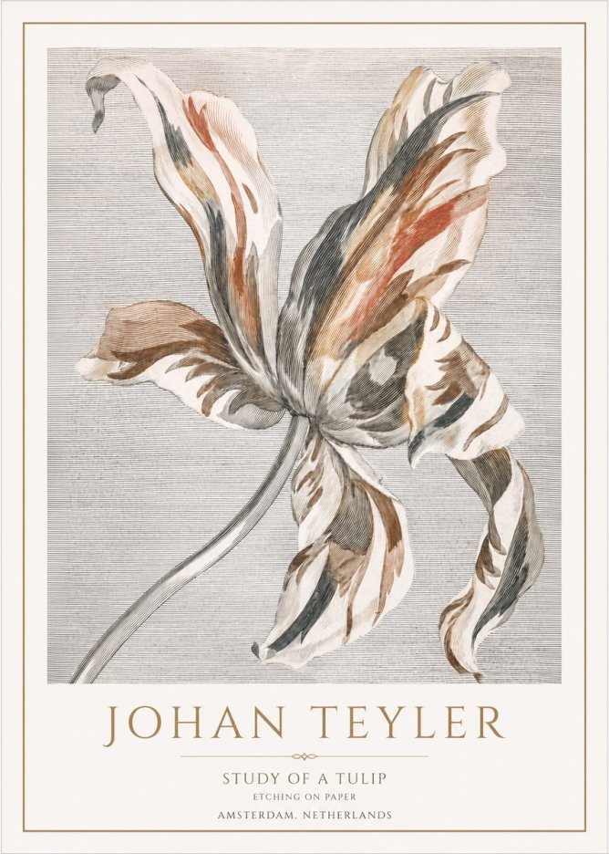 Johan Teyler Study of a Tulip No1 - Poster