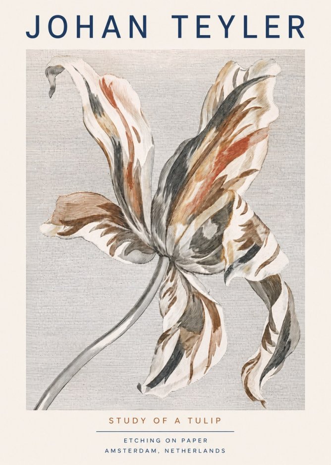 Johan Teyler Study of a Tulip No3 - Poster