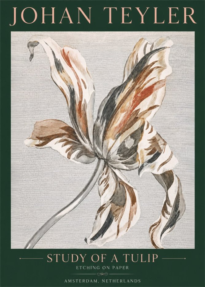 Johan Teyler Study of a Tulip No4 - Poster