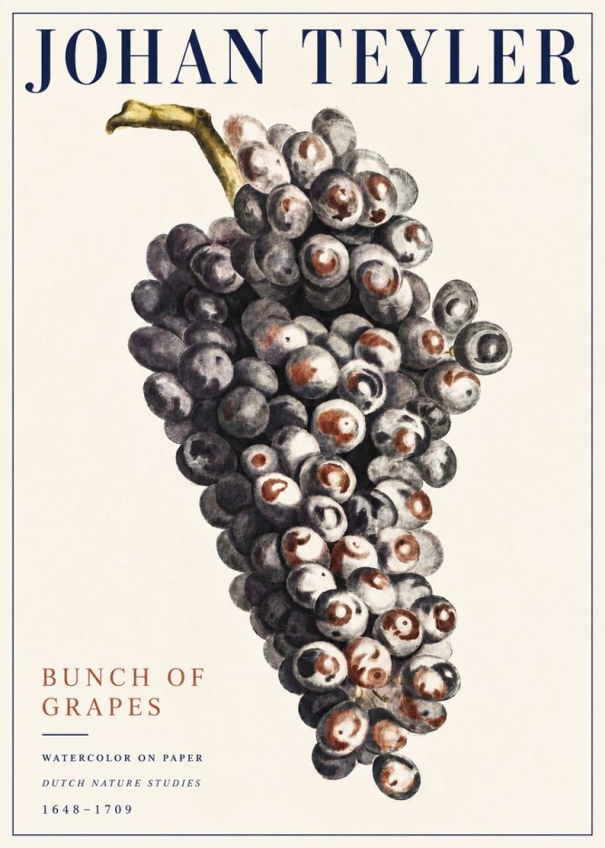 Johan Teyler Bunch of Grapes No5 - Poster