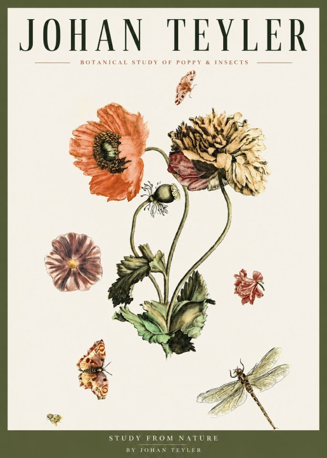 Johan Teyler Botanical Study of Poppy & Insects No3 - Poster