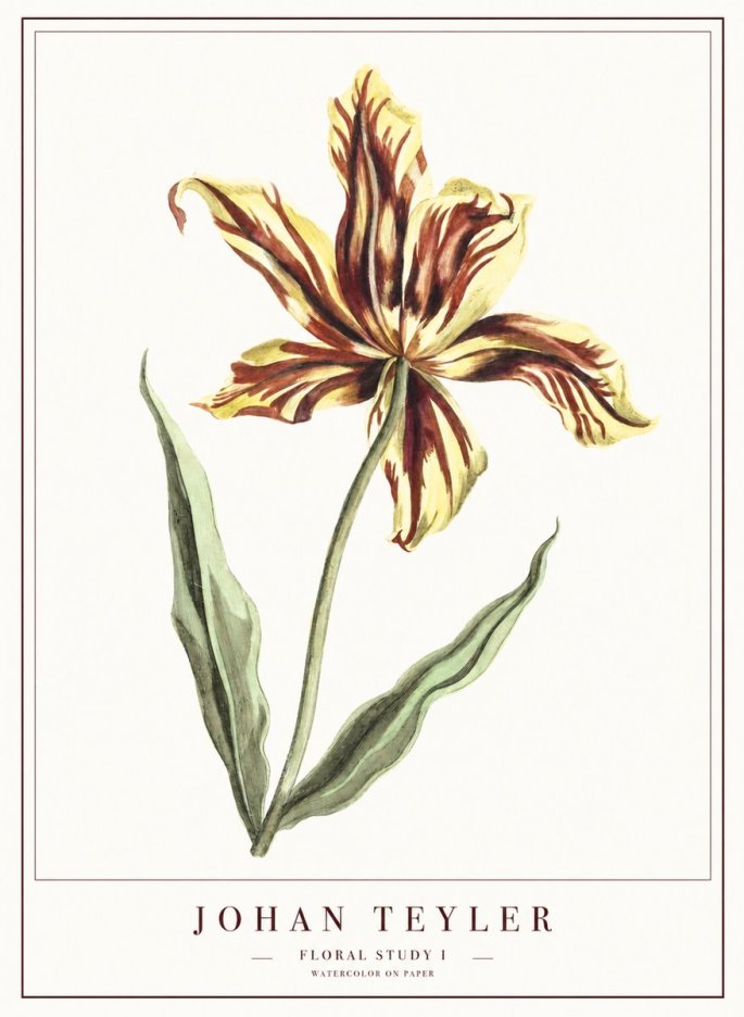 Johan Teyler Floral Study I No1 - Poster