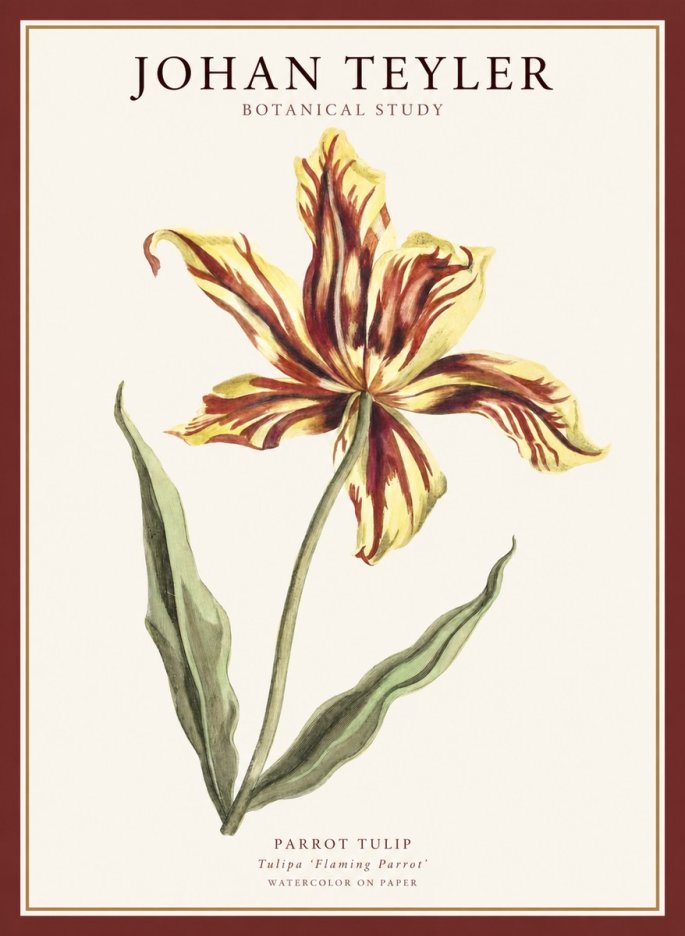 Johan Teyler Floral Study I No5 - Poster