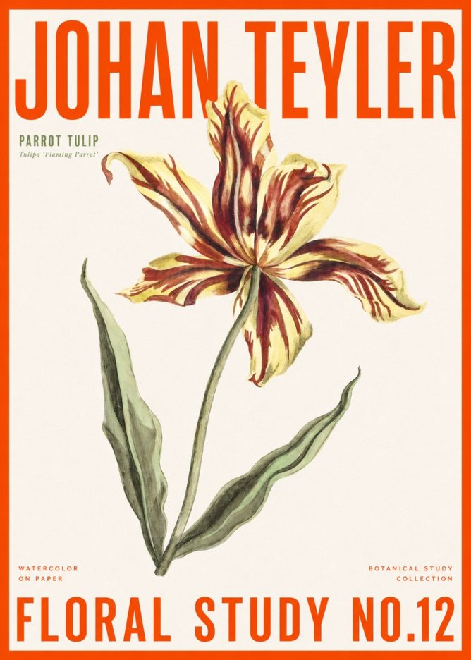 Johan Teyler Floral Study I No6 - Poster