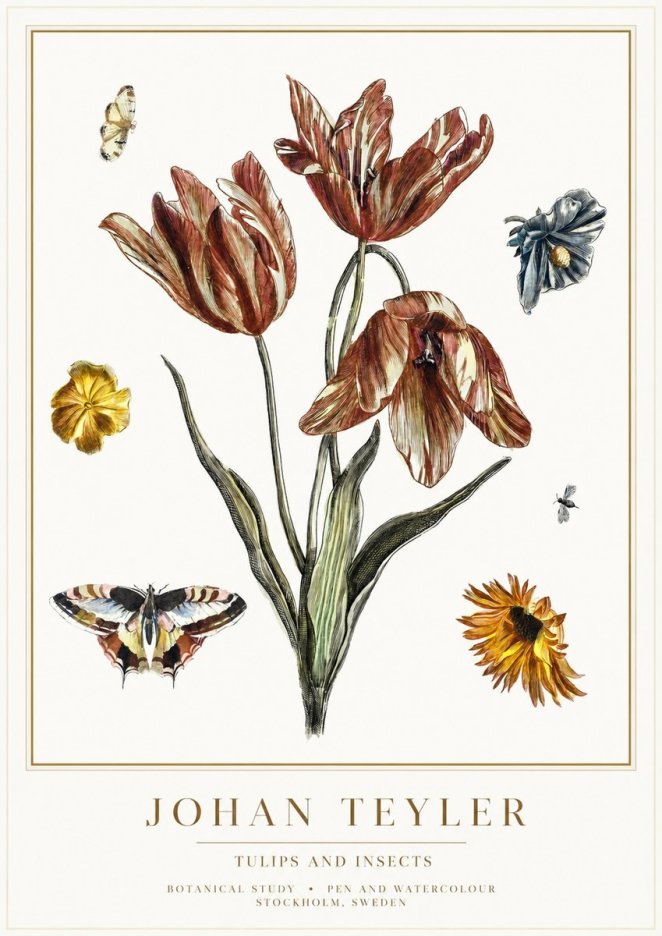 Johan Teyler Tulips and Insects No1 - Poster
