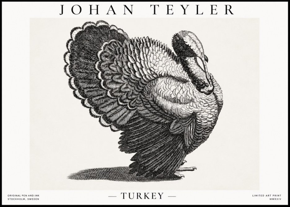 Johan Teyler Turkey No1 - Poster
