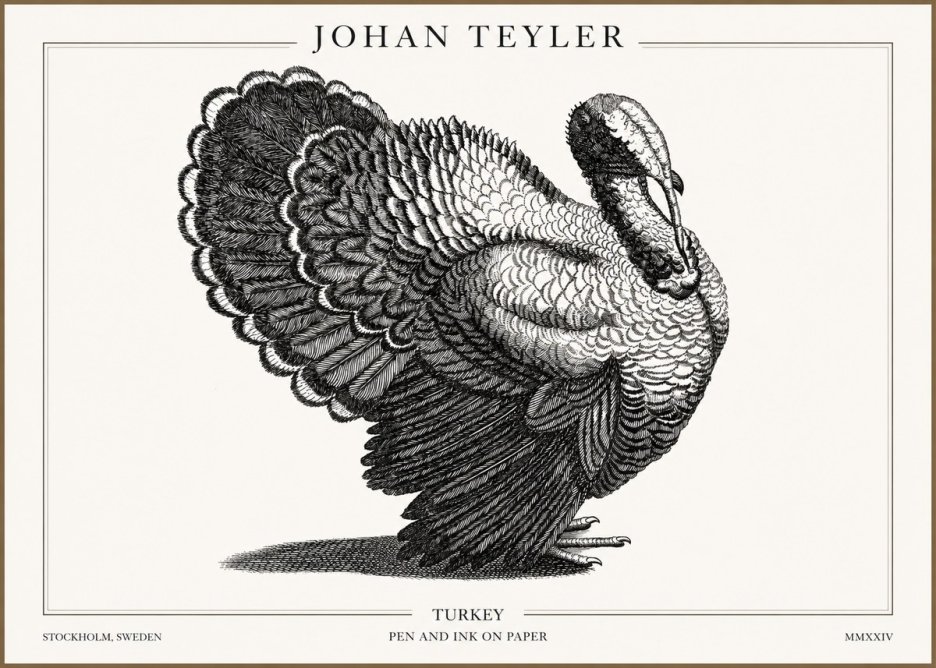 Johan Teyler Turkey No2 - Poster