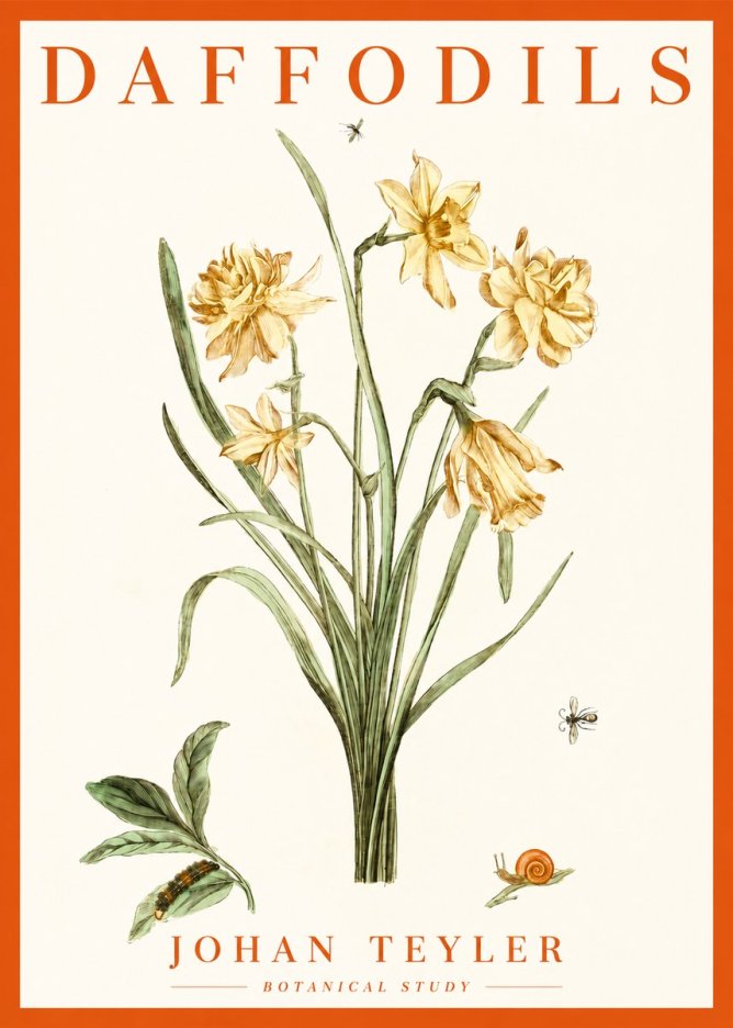 Johan Teyler Daffodils No2 - Poster
